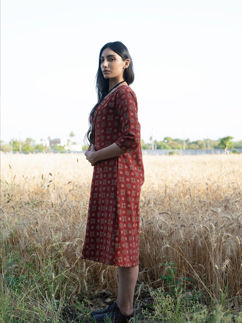 Leyla Dress with Ovegarment