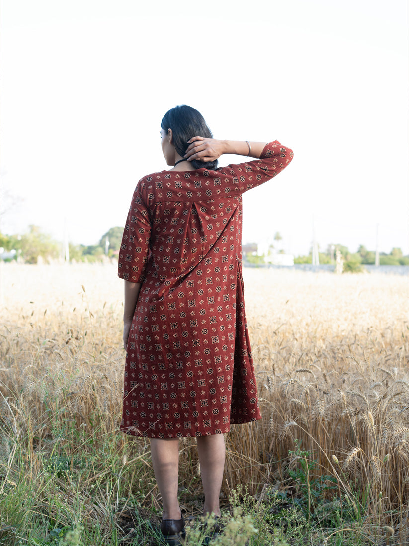 Leyla Dress with Ovegarment